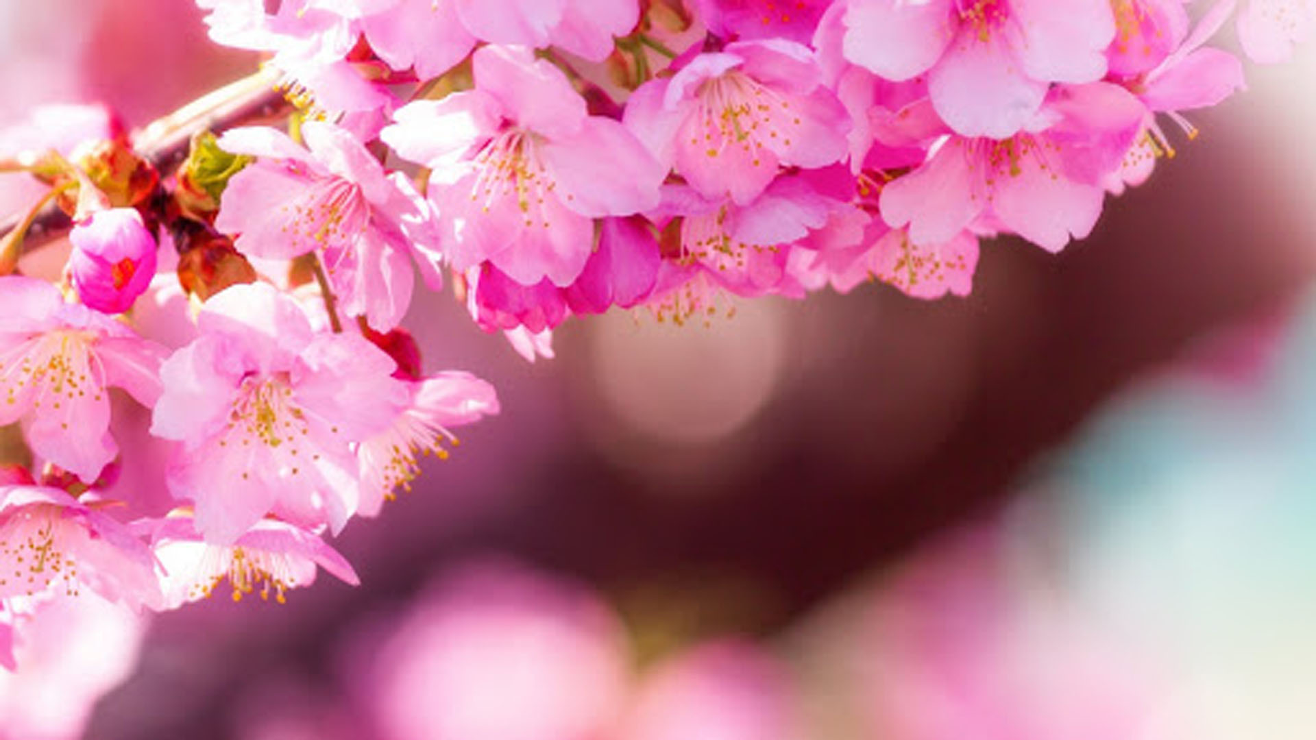 img_yw_news